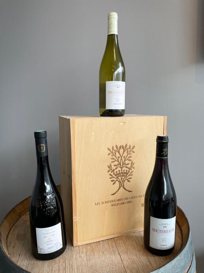 Gites Des Chateaux - Gite A Selles-sur-Cher Ngoại thất bức ảnh